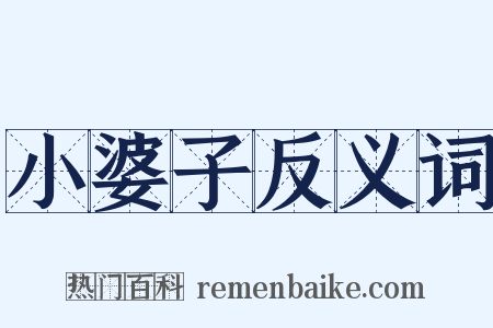 小婆子反义词是什么意思的图片